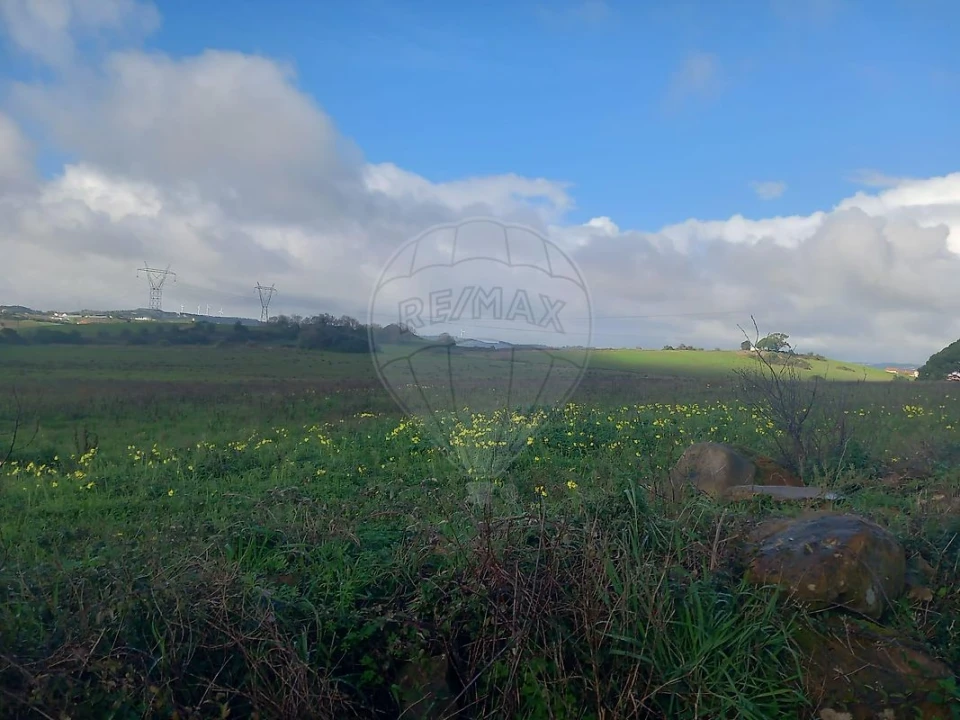 Quinta T0 para Venda em Cardosas Foto 20