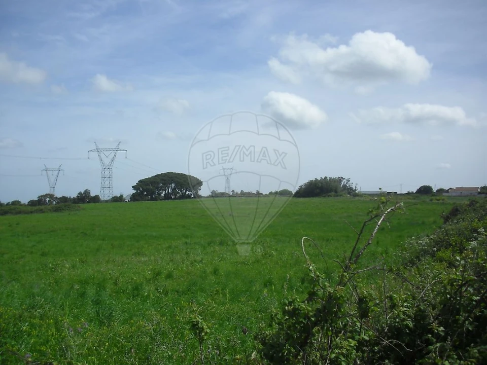 Quinta T0 para Venda em Cardosas Foto 21