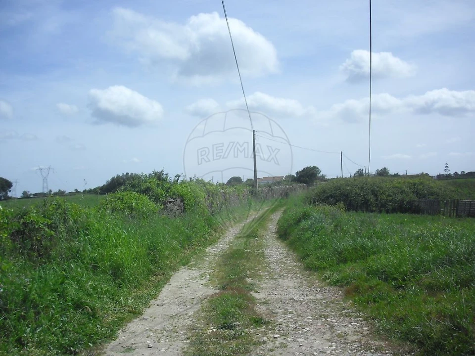 Quinta T0 para Venda em Cardosas Foto 23