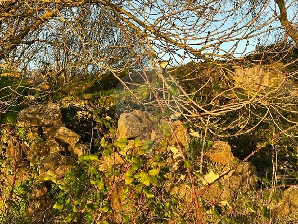 Quinta T0 para Venda em Cardosas Foto 12