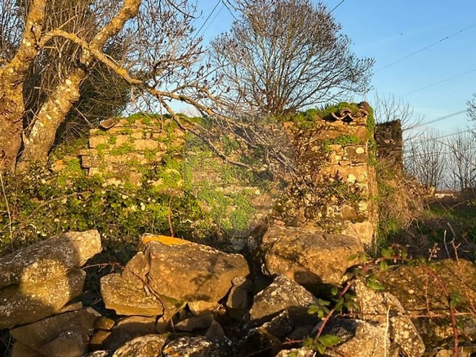 Quinta T0 para Venda em Cardosas Foto 10