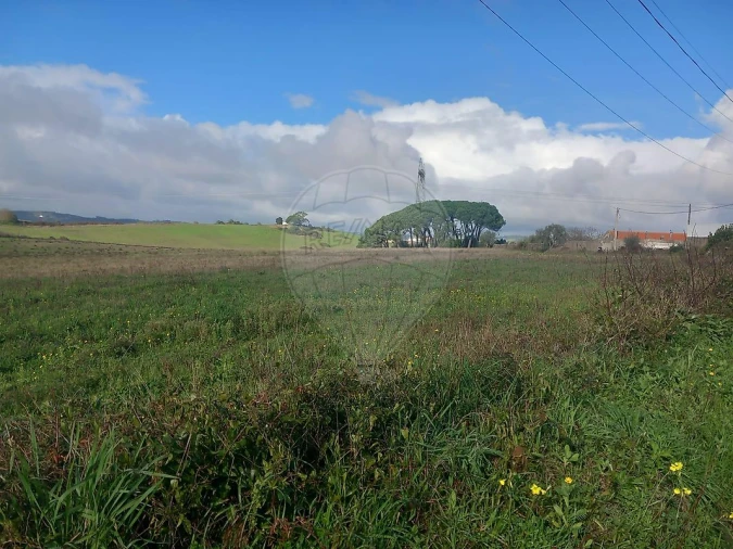 Quinta T0 para Venda em Cardosas Foto 21