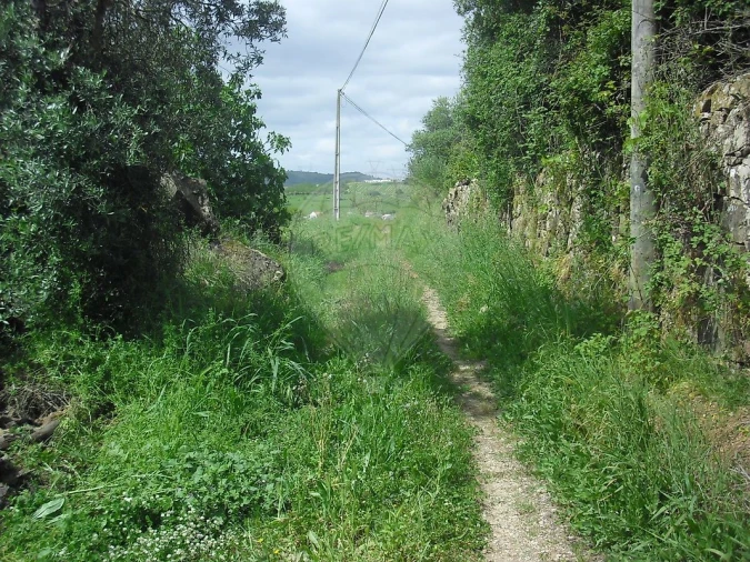 Quinta T0 para Venda em Cardosas Foto 24
