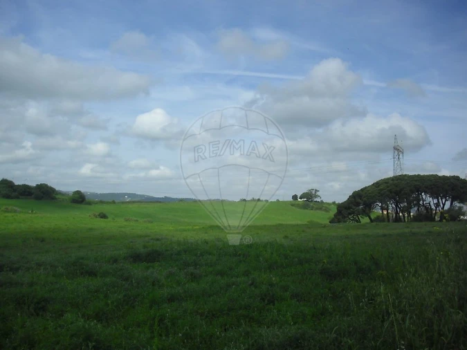Quinta T0 para Venda em Cardosas Foto 36