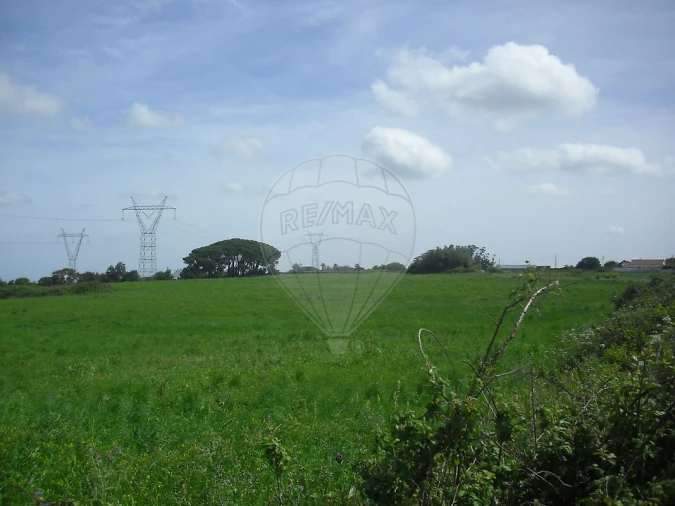 Quinta T0 para Venda em Cardosas Foto 21