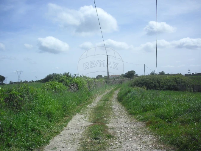 Quinta T0 para Venda em Cardosas Foto 23
