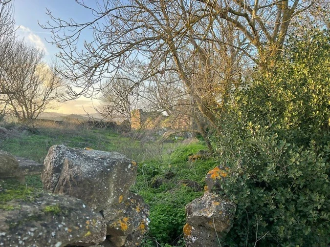 Quinta T0 para Venda em Cardosas Foto 5