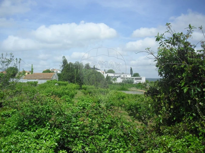 Quinta T0 para Venda em Cardosas Foto 40