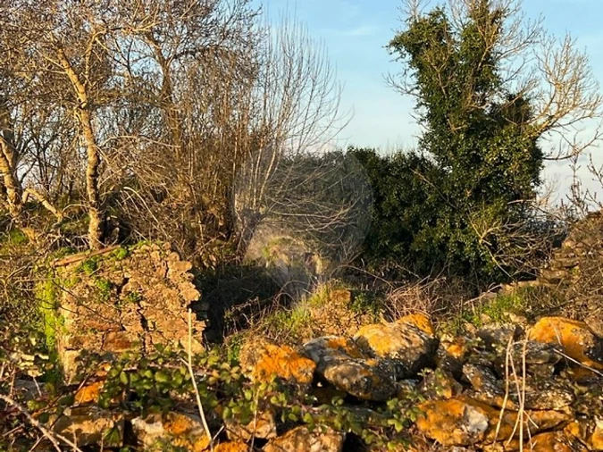 Quinta T0 para Venda em Cardosas Foto 7