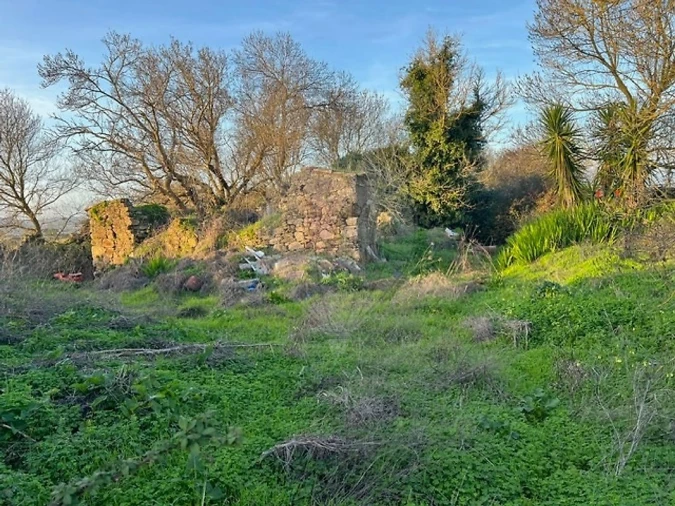 Quinta T0 para Venda em Cardosas Foto 2