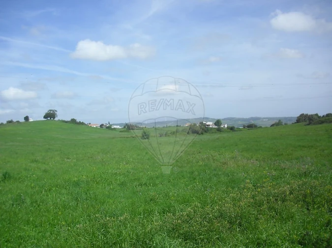 Quinta T0 para Venda em Cardosas Foto 17