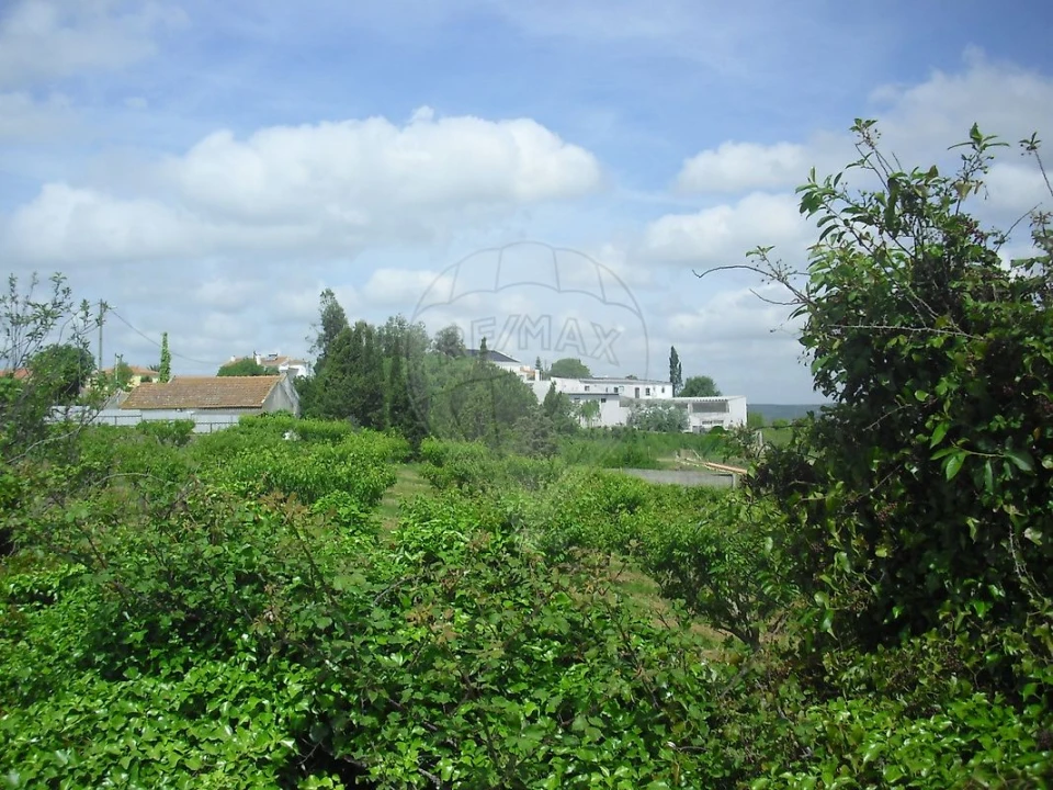 Quinta T0 para Venda em Cardosas Foto 40
