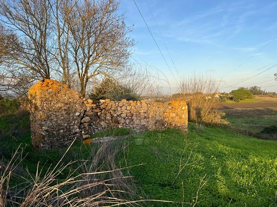 Quinta T0 para Venda em Cardosas Foto 8