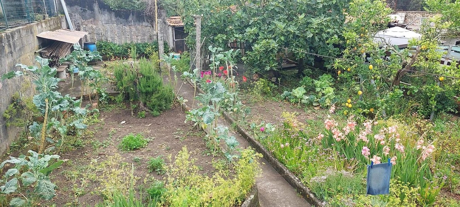 Moradia T2 para Venda em Gulpilhares e Valadares Foto 34