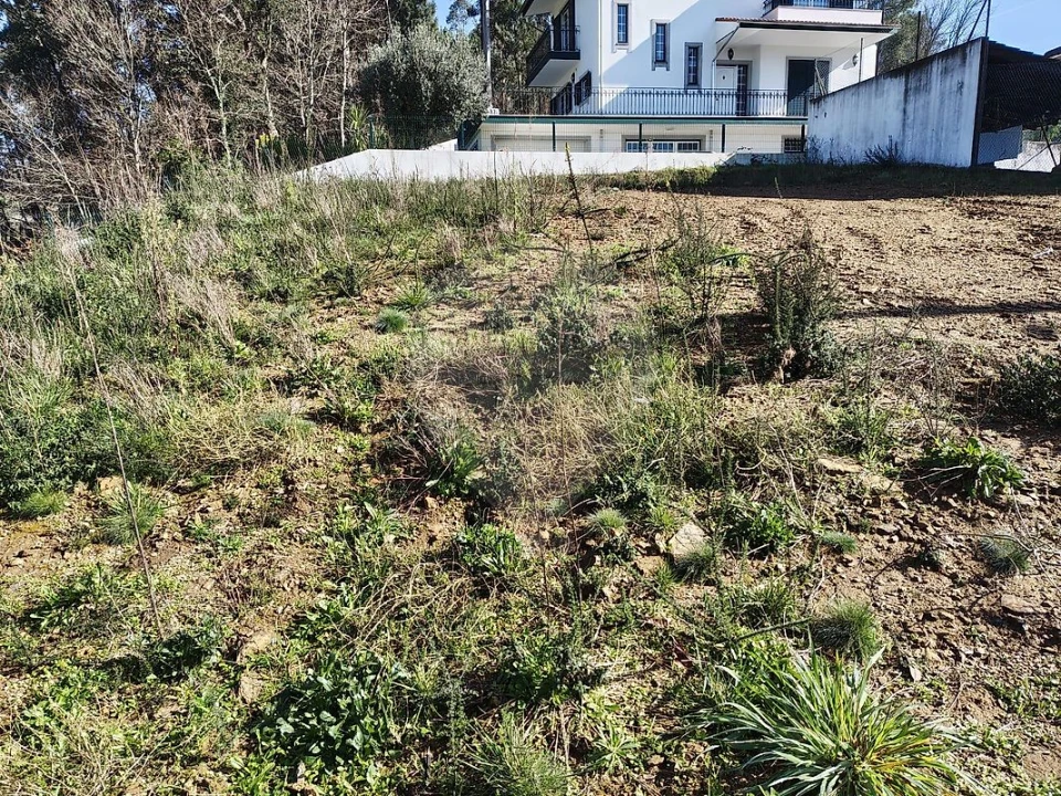 Terreno para Venda em São Pedro de Castelões Foto 4