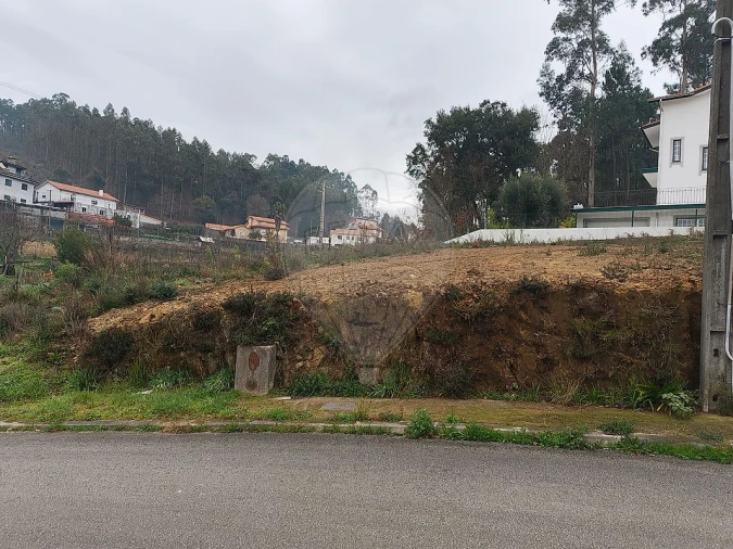 Terreno para Venda em São Pedro de Castelões Foto 3
