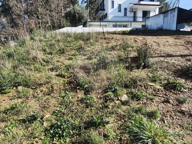 Terreno para Venda em São Pedro de Castelões Foto 4