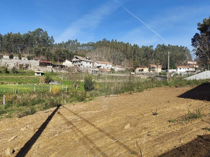 Terreno para Venda em São Pedro de Castelões Foto 7