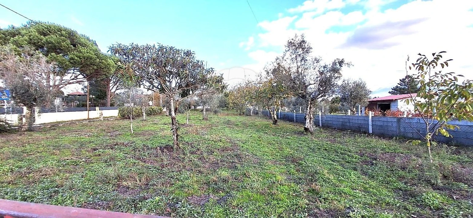 Moradia T3 para Venda em Sameice e Santa Eulália Foto 8