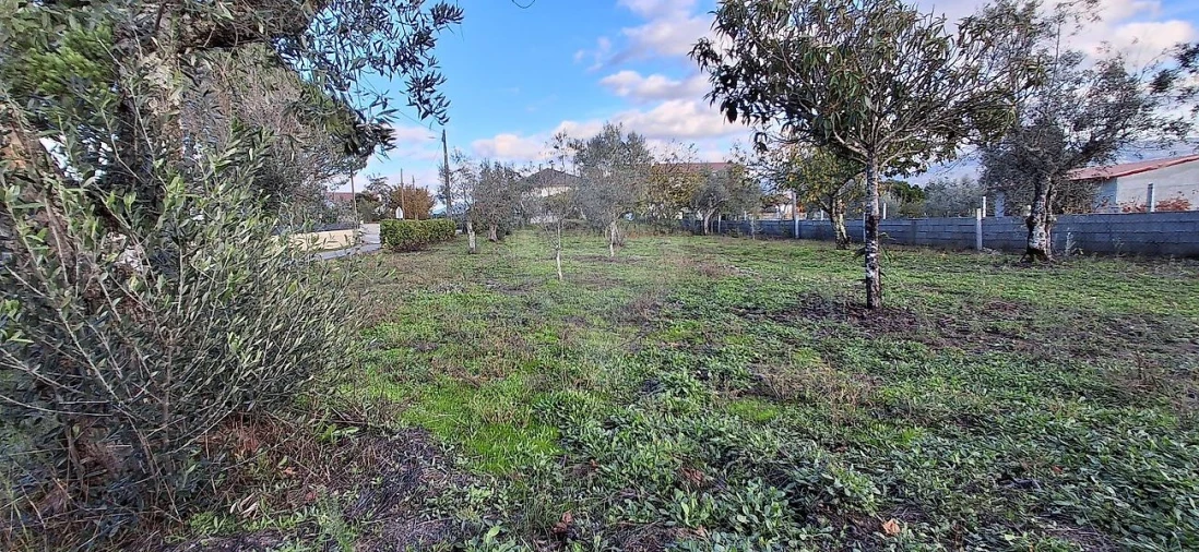 Moradia T3 para Venda em Sameice e Santa Eulália Foto 12