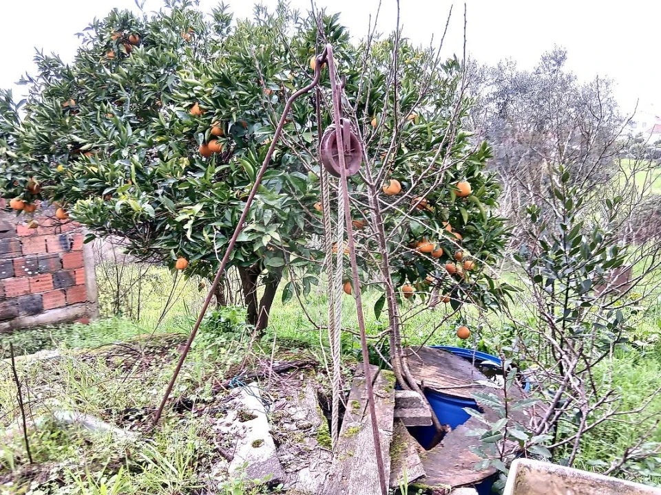 Moradia T2 para Venda em Rio Maior Foto 4