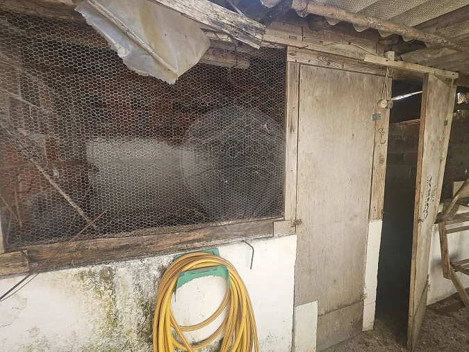 Moradia T2 para Venda em Rio Maior Foto 15