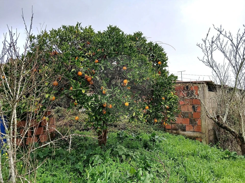 Moradia T2 para Venda em Rio Maior Foto 9