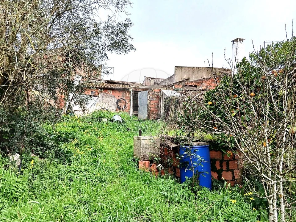 Moradia T2 para Venda em Rio Maior Foto 5