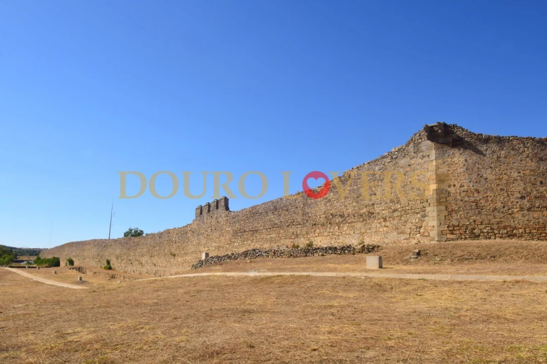 Terreno para Venda em Miranda do Douro Foto 11