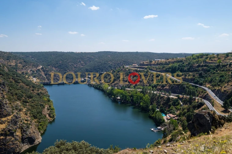 Terreno para Venda em Miranda do Douro Foto 12