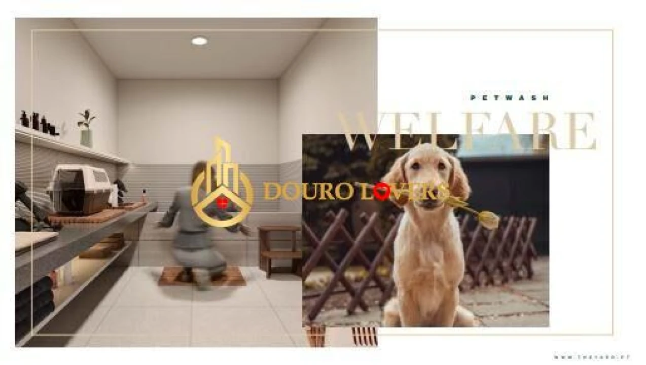 Apartamento T3 para Venda em Santa Marinha e São Pedro da Afurada Foto 9