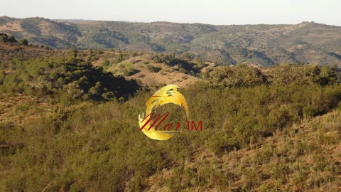 Moradia para Venda em Odeleite