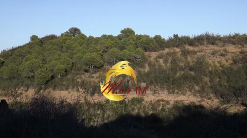 Moradia para Venda em Odeleite