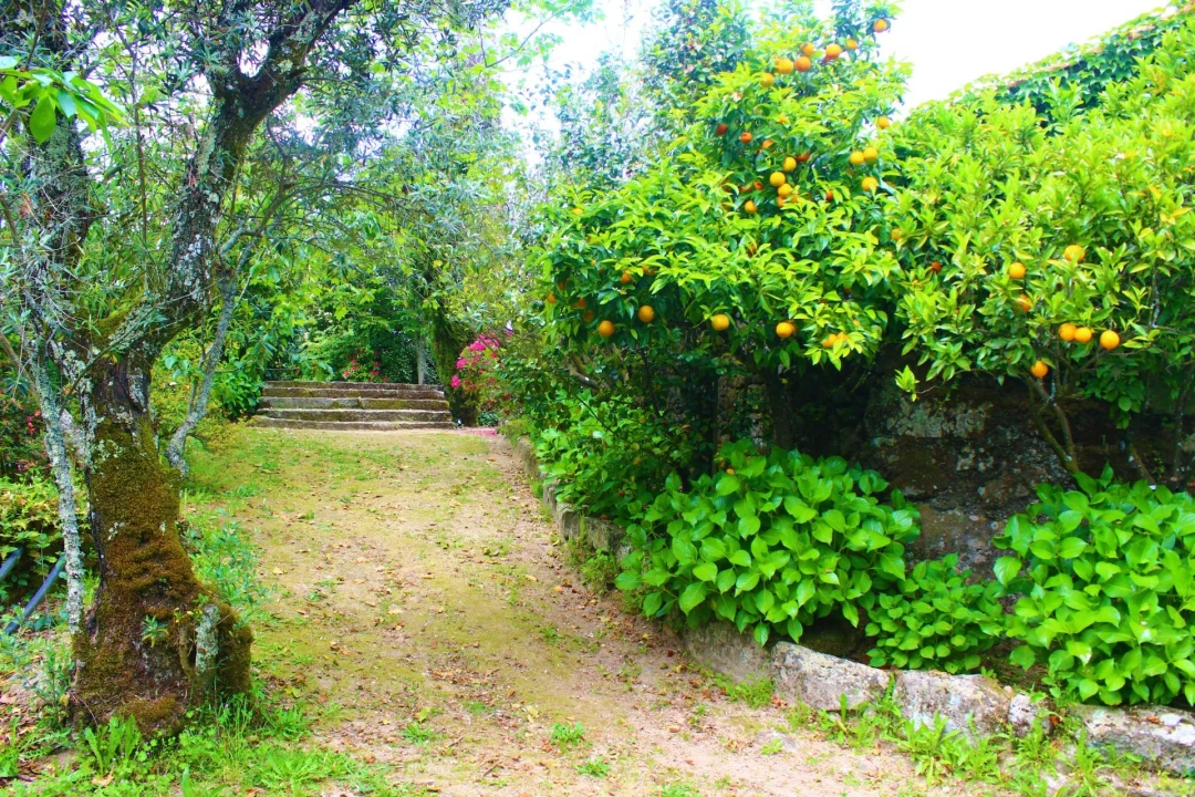 Moradia T9 para Venda em Mangualde, Mesquitela e Cunha Alta Foto 16