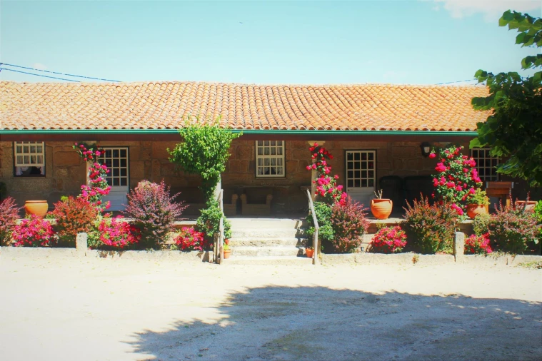 Moradia T9 para Venda em Mangualde, Mesquitela e Cunha Alta Foto 4