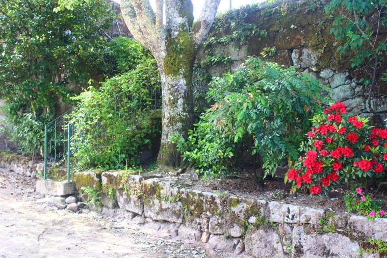 Moradia T9 para Venda em Mangualde, Mesquitela e Cunha Alta Foto 6