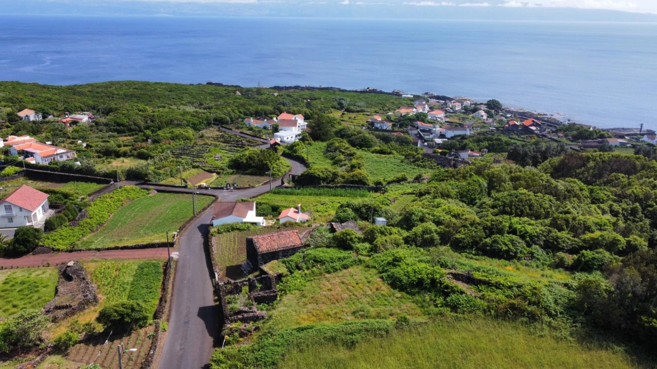 Moradia T1 para Venda em Piedade Foto 10