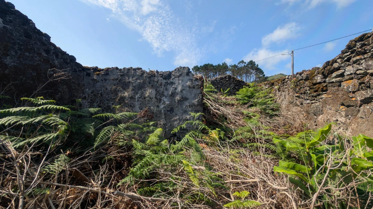 Moradia T1 para Venda em Piedade Foto 17