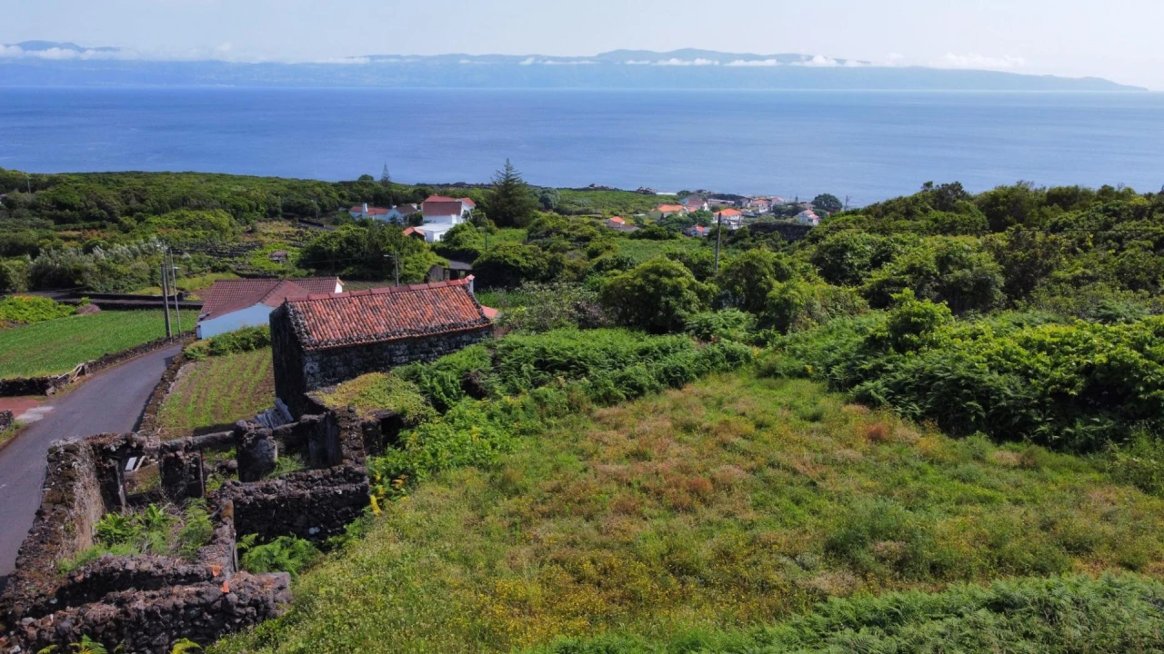 Moradia T1 para Venda em Piedade Foto 6