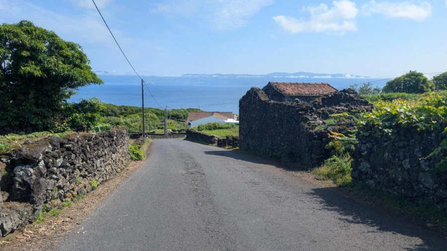 Moradia T1 para Venda em Piedade Foto 15