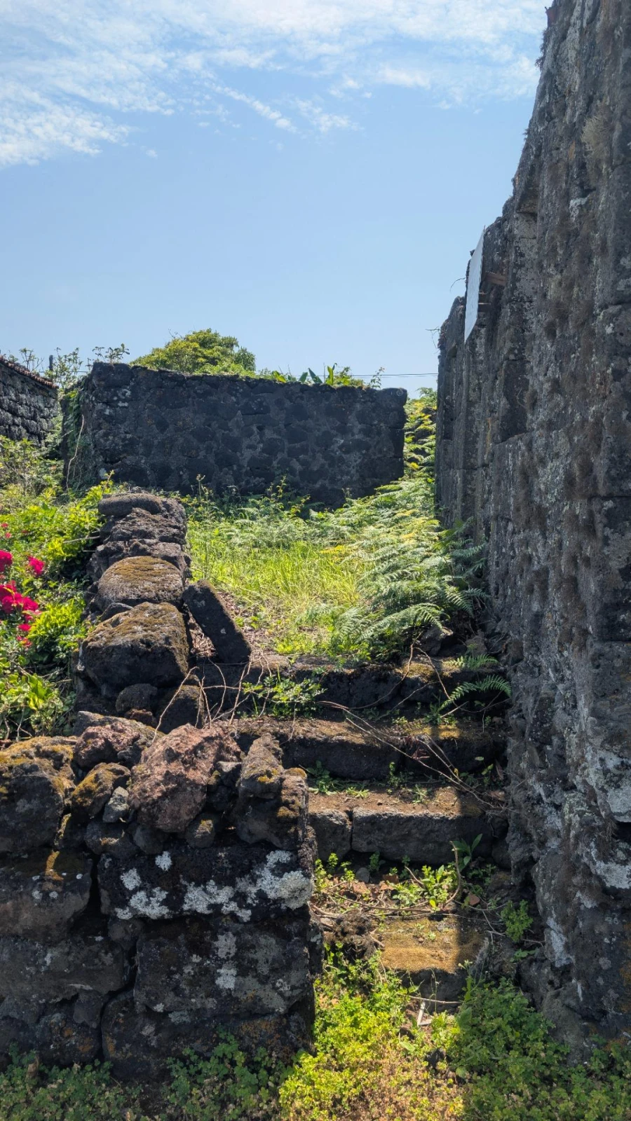 Moradia T1 para Venda em Piedade Foto 22