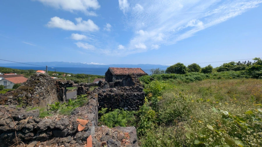 Moradia T1 para Venda em Piedade Foto 24