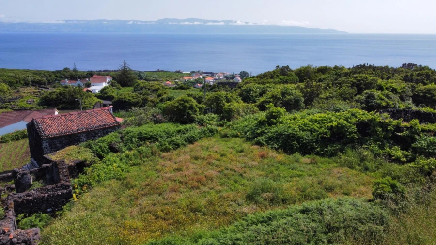 Moradia T1 para Venda em Piedade Foto 28