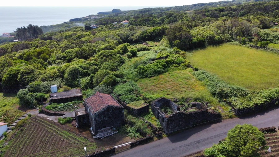 Moradia T1 para Venda em Piedade Foto 8