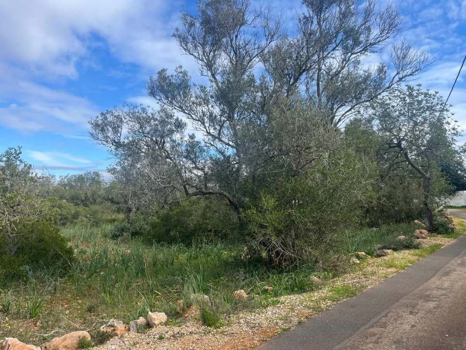 Moradia para Venda em São Bartolomeu de Messines Foto 11