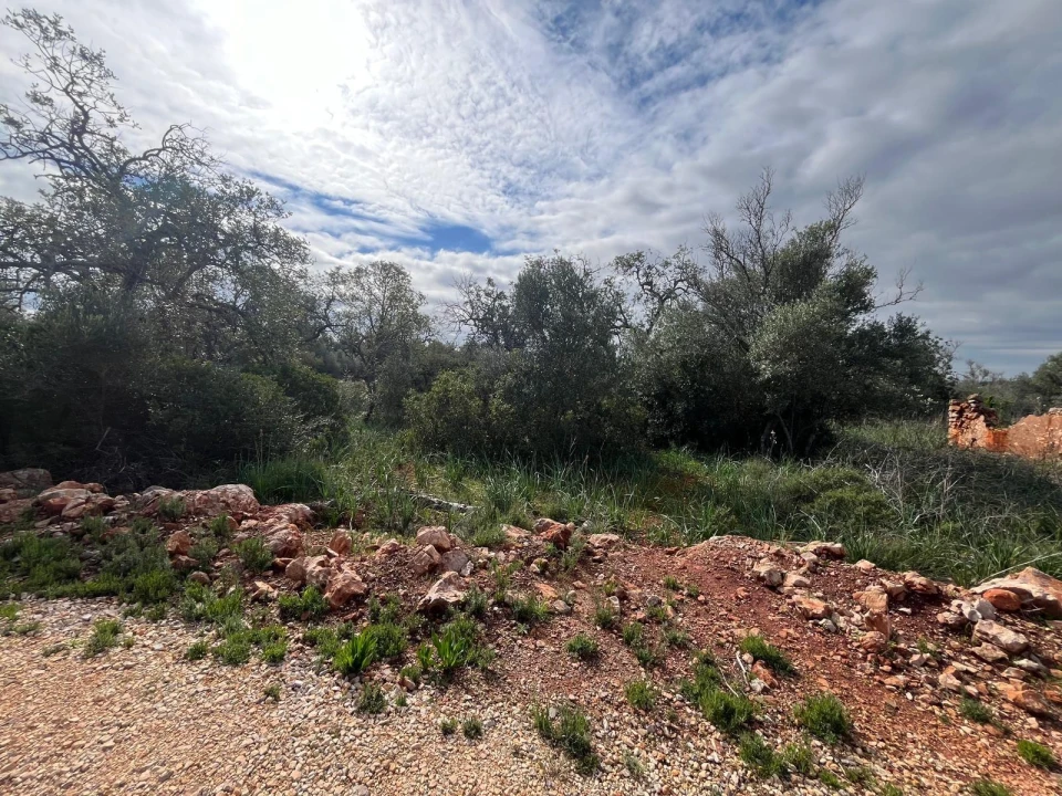 Moradia para Venda em São Bartolomeu de Messines Foto 14