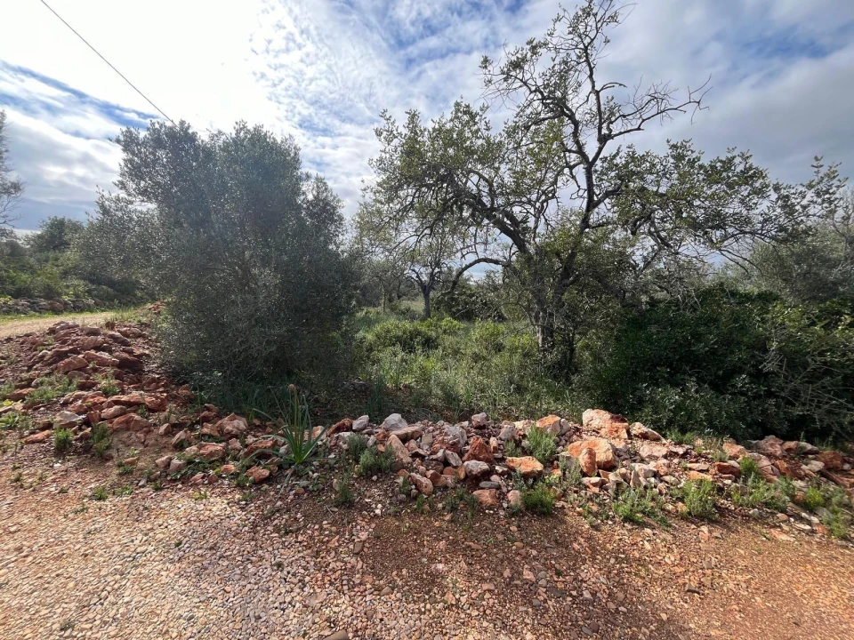 Moradia para Venda em São Bartolomeu de Messines Foto 15