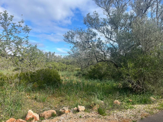 Moradia para Venda em São Bartolomeu de Messines Foto 10