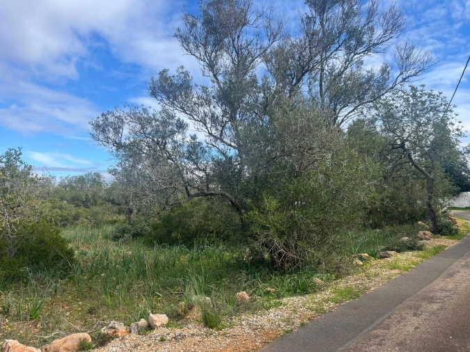 Moradia para Venda em São Bartolomeu de Messines Foto 11