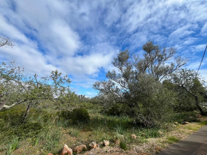 Moradia para Venda em São Bartolomeu de Messines Foto 17